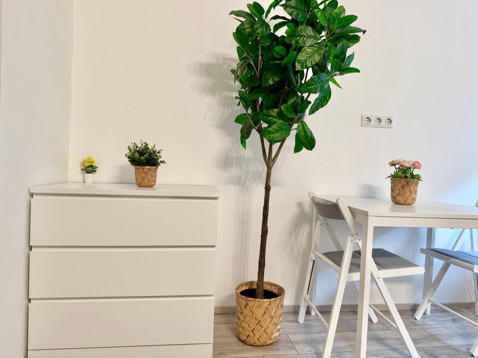 Stylish Schonbrunn Apartments With Free Parking Vienna Luaran gambar